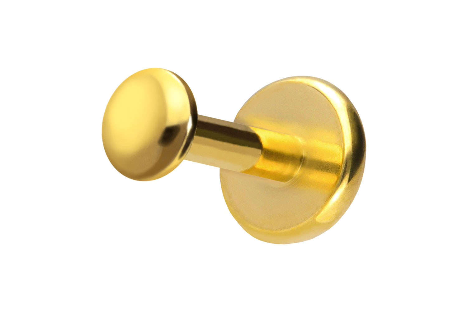 Titan Labret Piercing mit Push Fit DISC